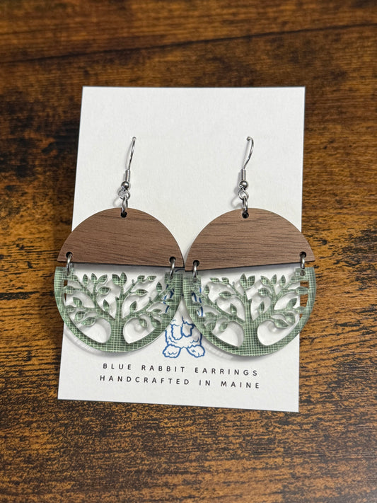 Acrylic & Walnut Tree Earrings