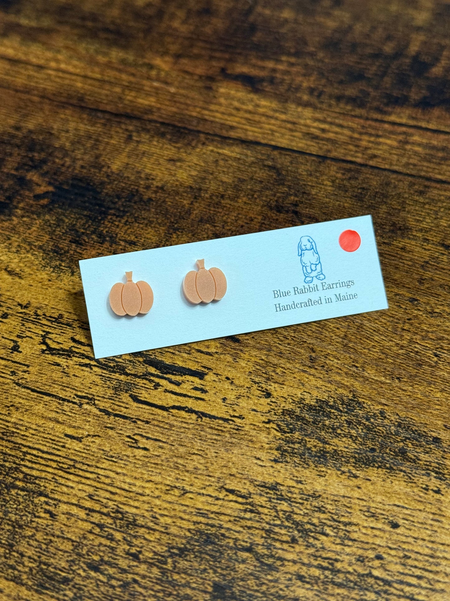 Acrylic Terracotta Pumpkin Studs